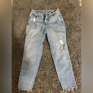 Curvy O.G. Straight jeans